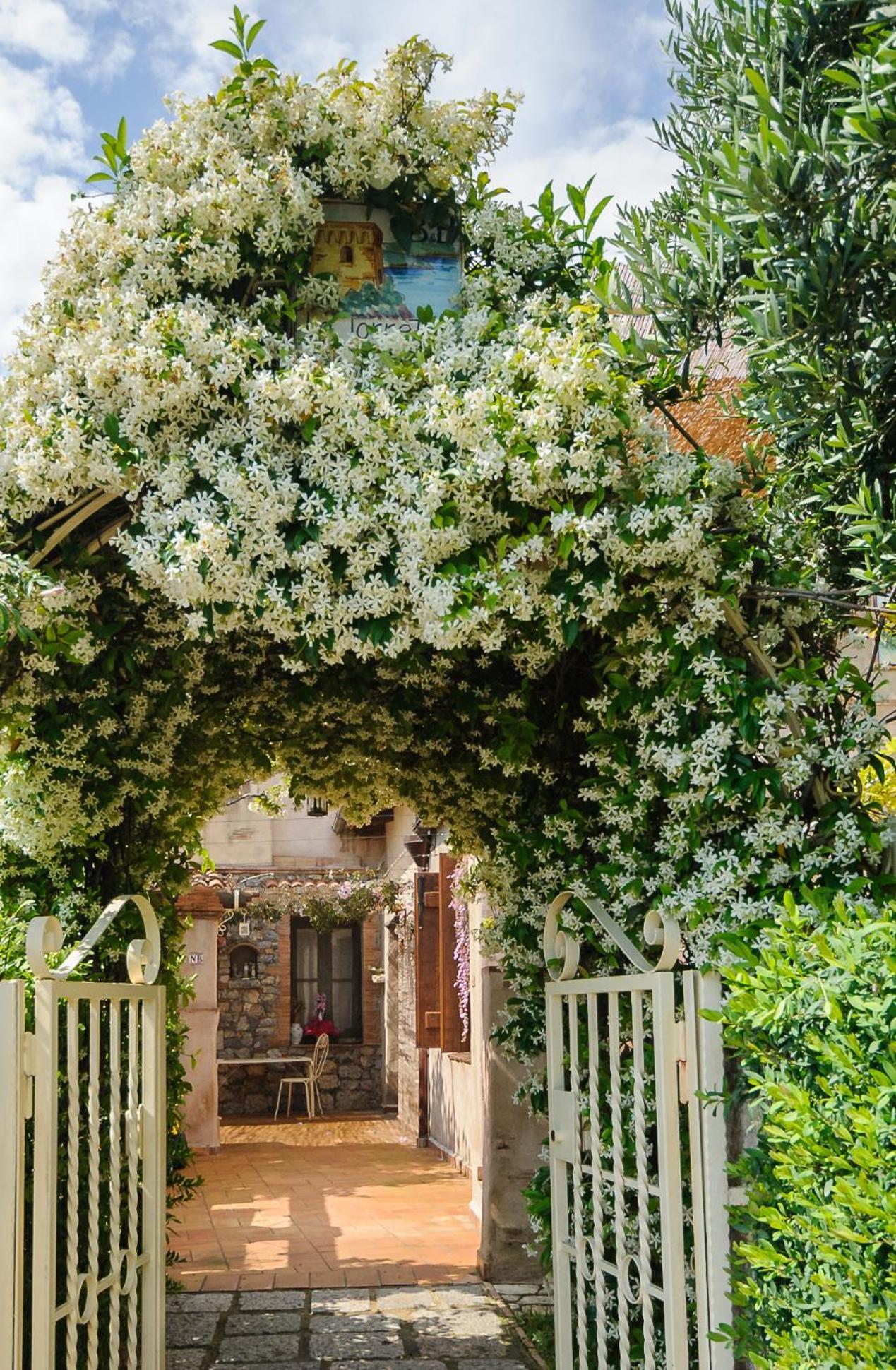 B&B La Torretta Maratea Exterior foto