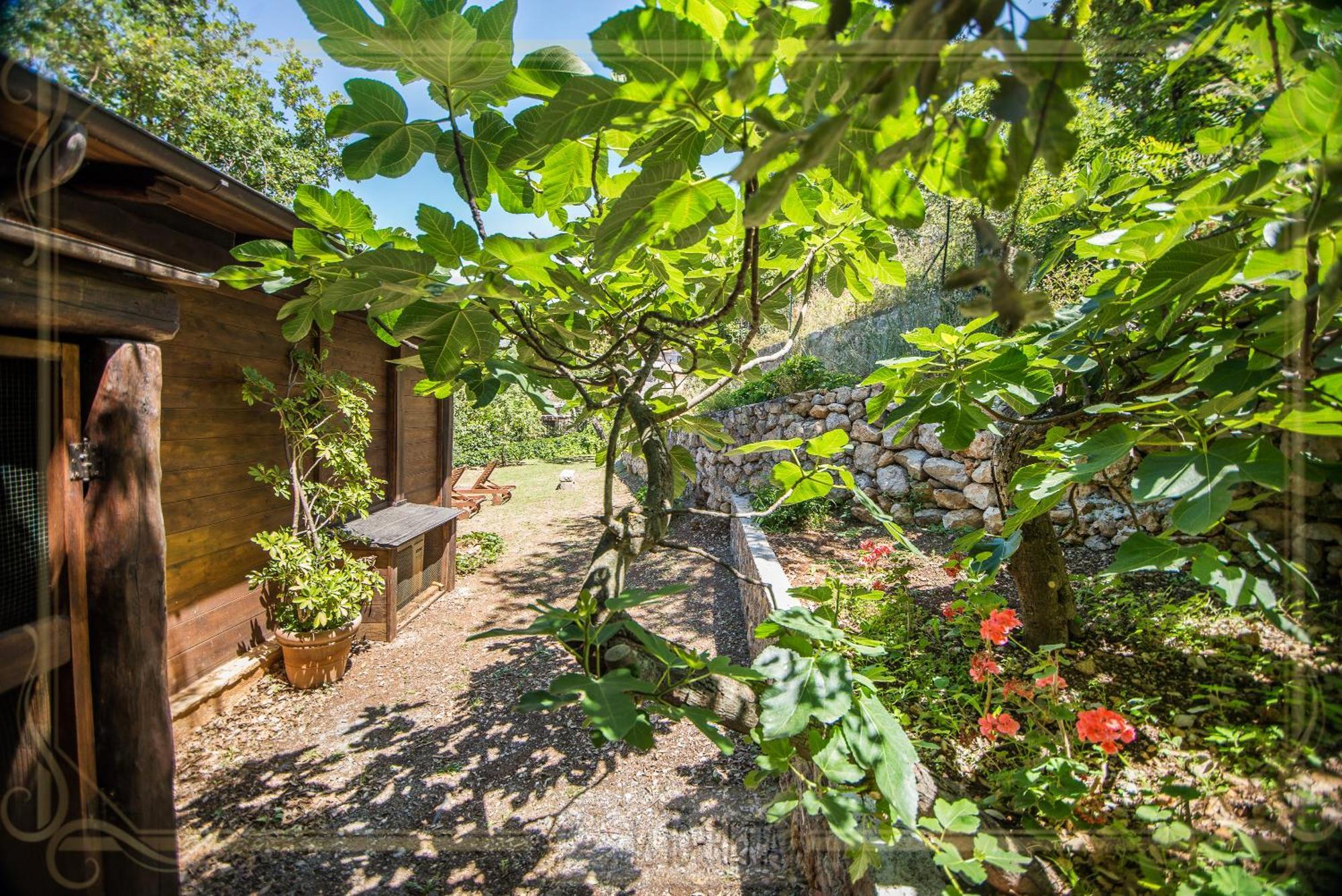 B&B La Torretta Maratea Exterior foto